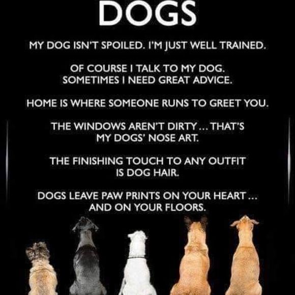 Meet your Posher, Julie - Picture 1 of 1